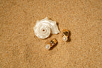 Proverbs 31 Lean On Earrings