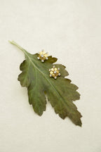 First Snow Earrings