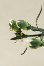 Secret Promise Earrings