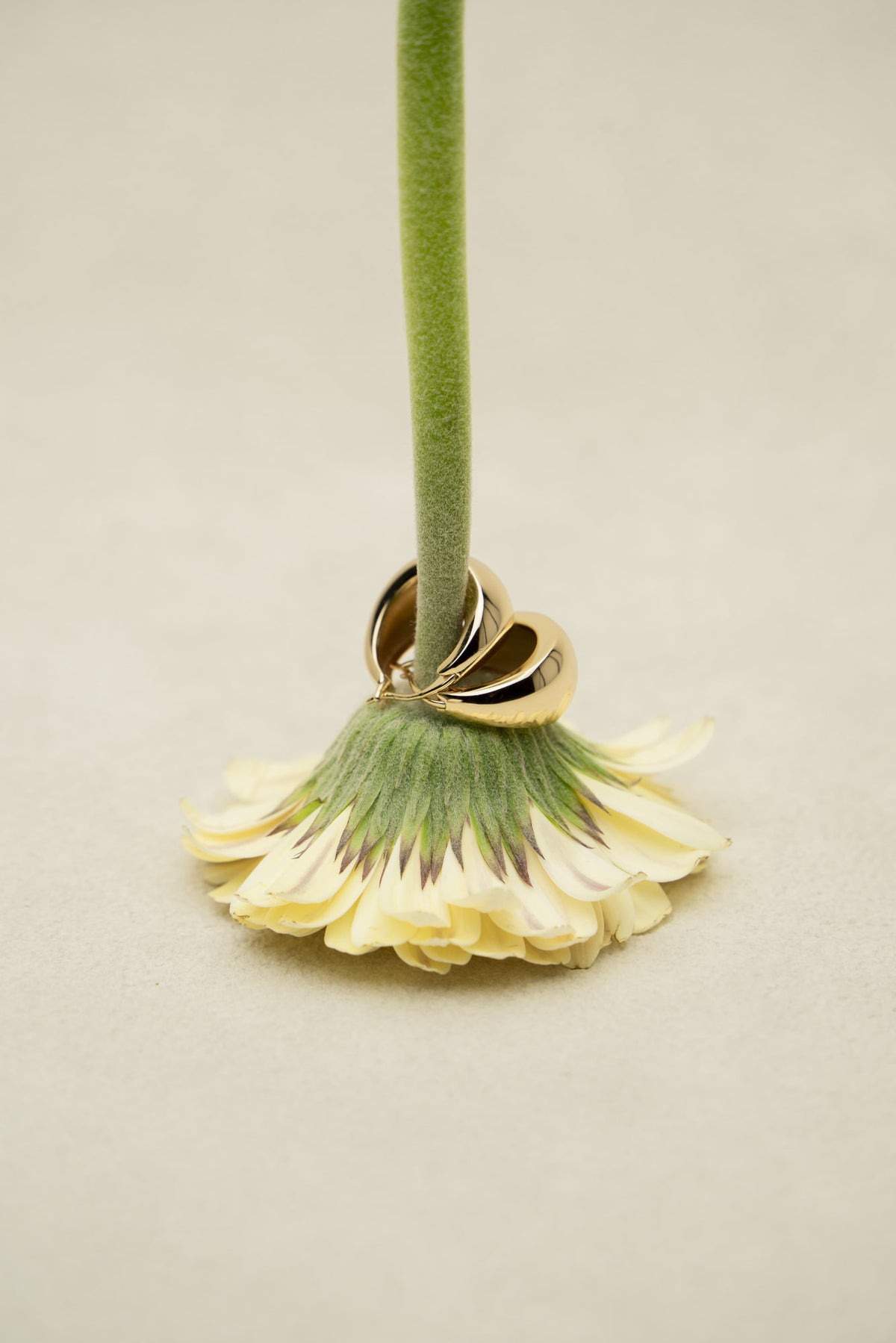 Still Moment Earrings
