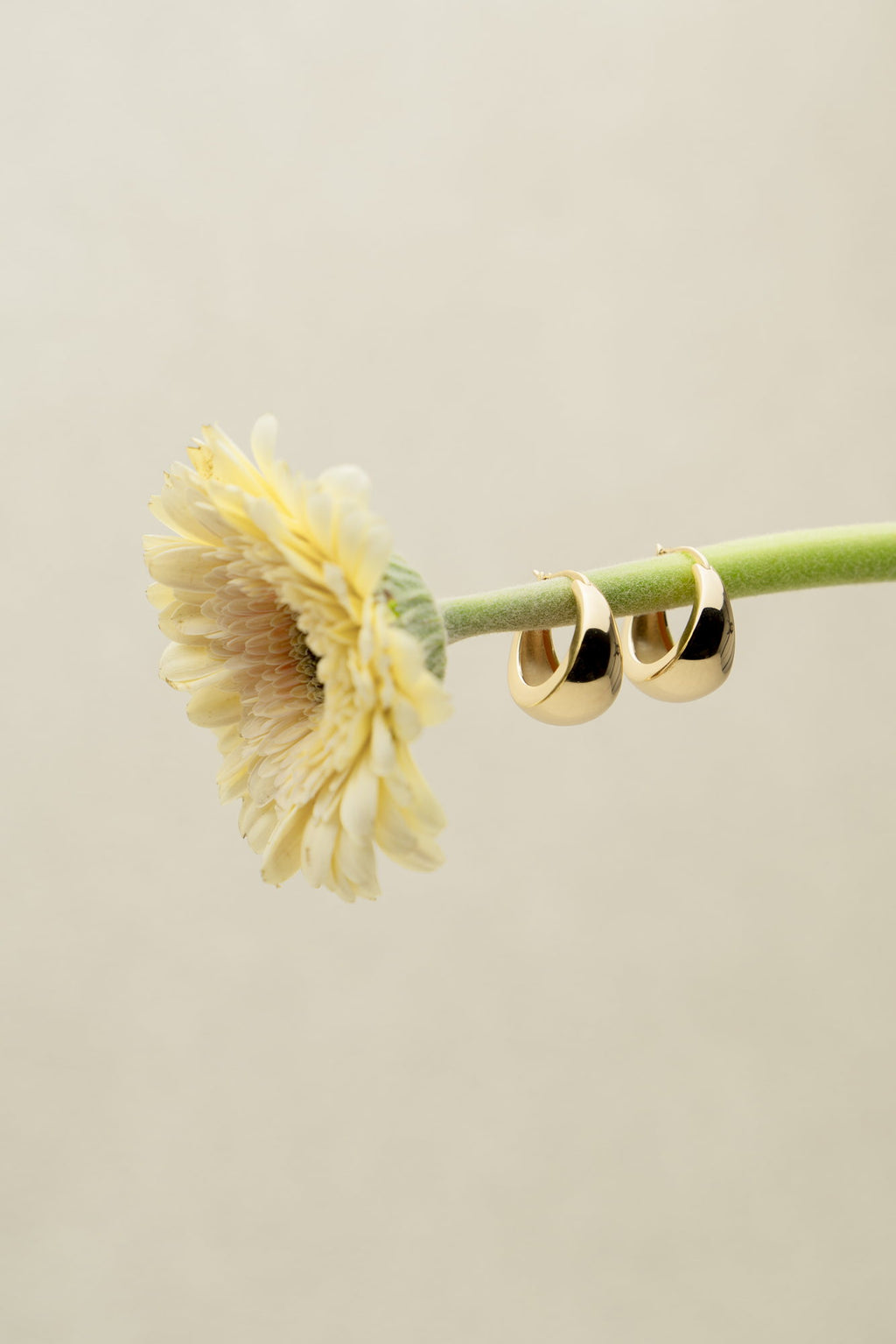 Still Moment Earrings