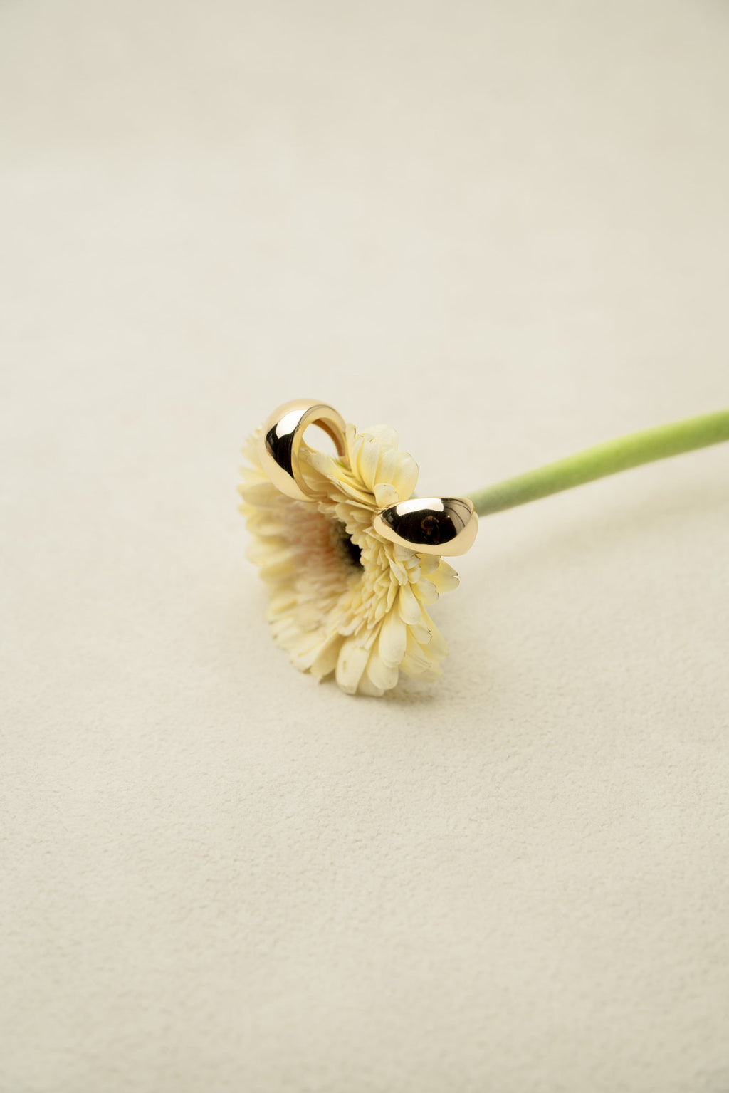 Still Moment Earrings