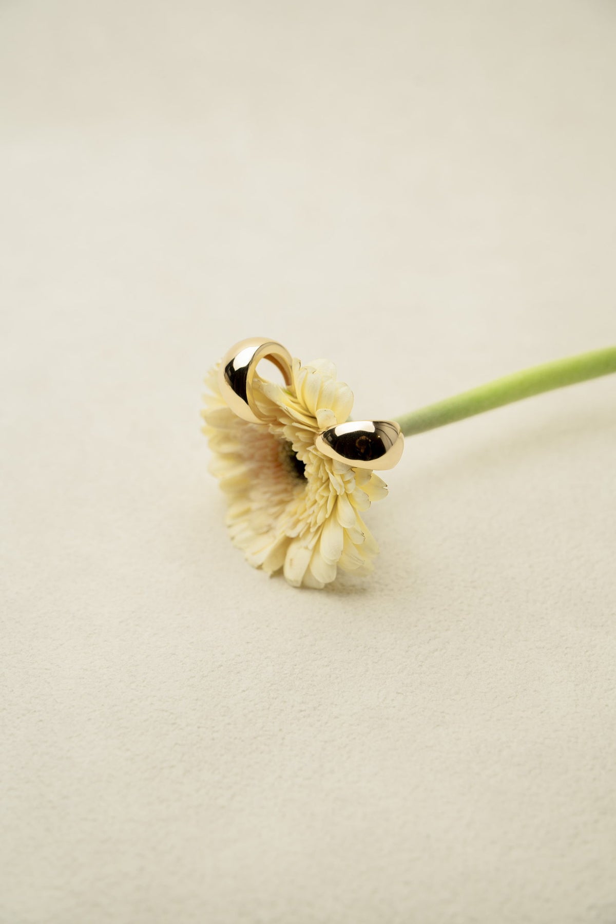 Still Moment Earrings
