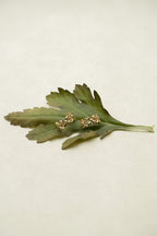 Inner Compass Earrings