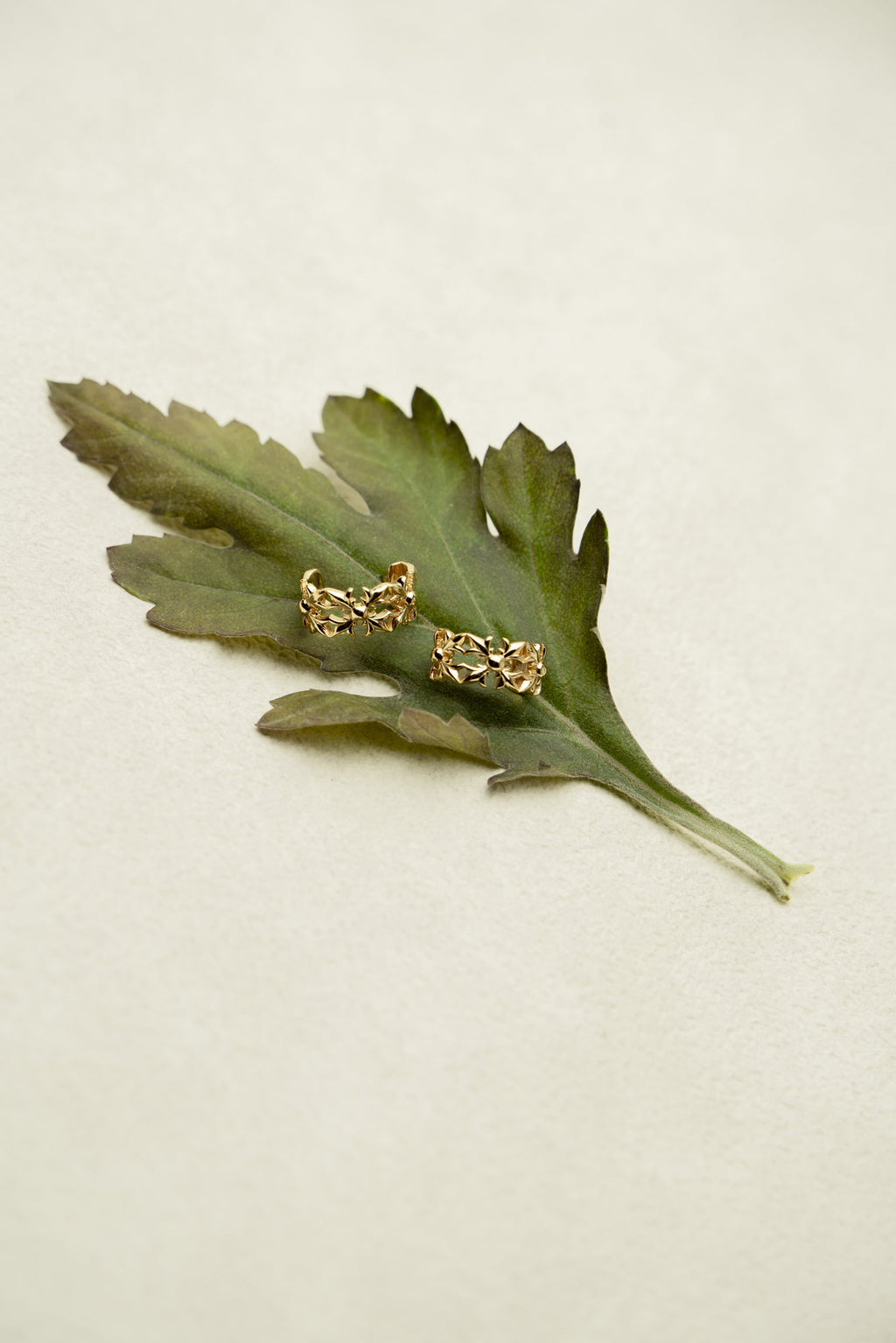 Inner Compass Earrings