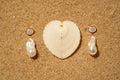 Perfectly Imperfect Earrings