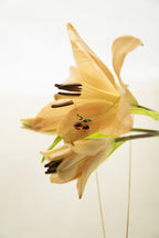 Joy Grows on You Necklace – product image 5