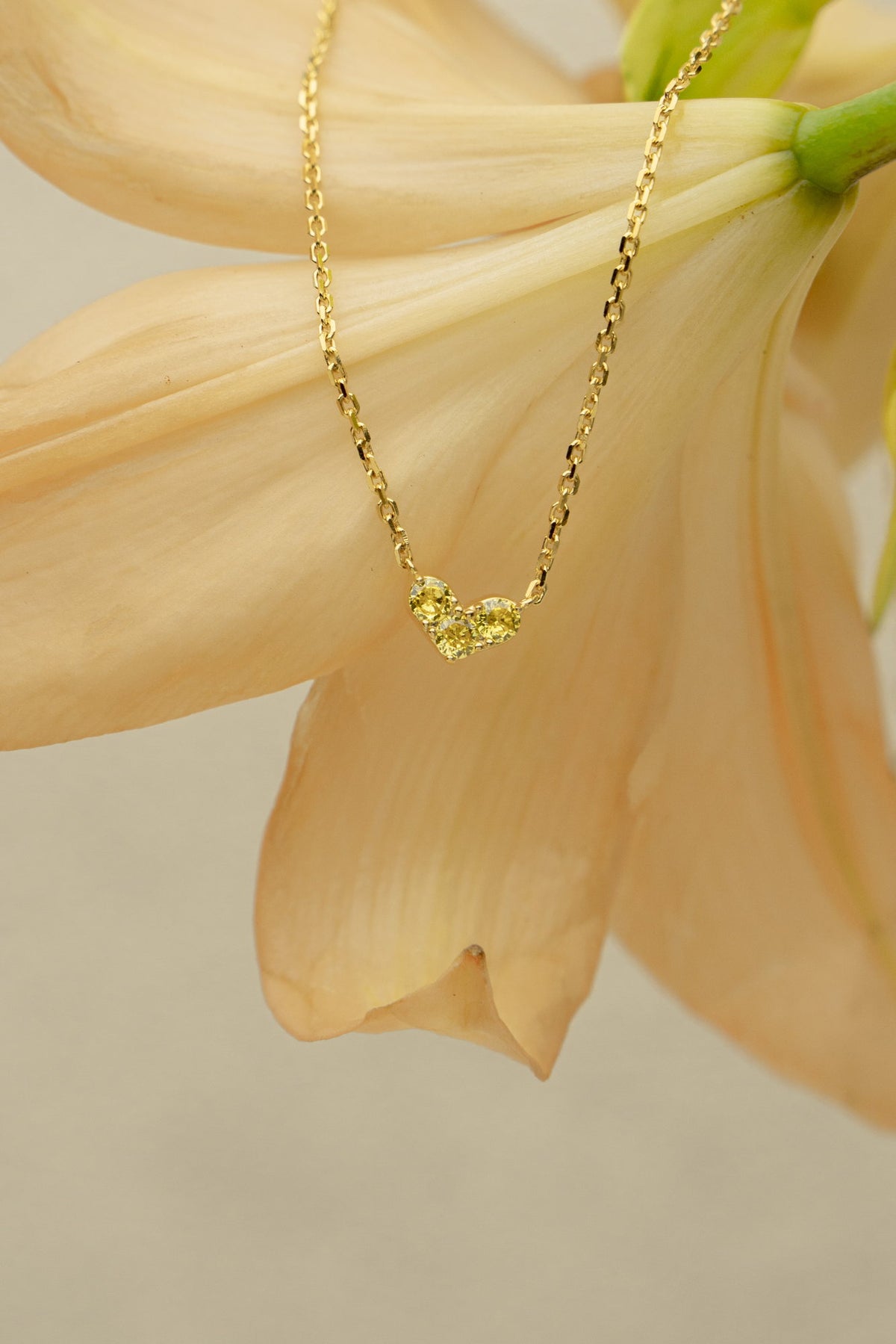 Loved from the Heart Necklace – product image 5