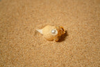 Proverbs 31 Shine On Ring