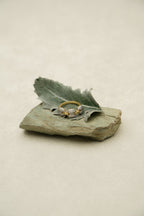 Deeply Linked Ring
