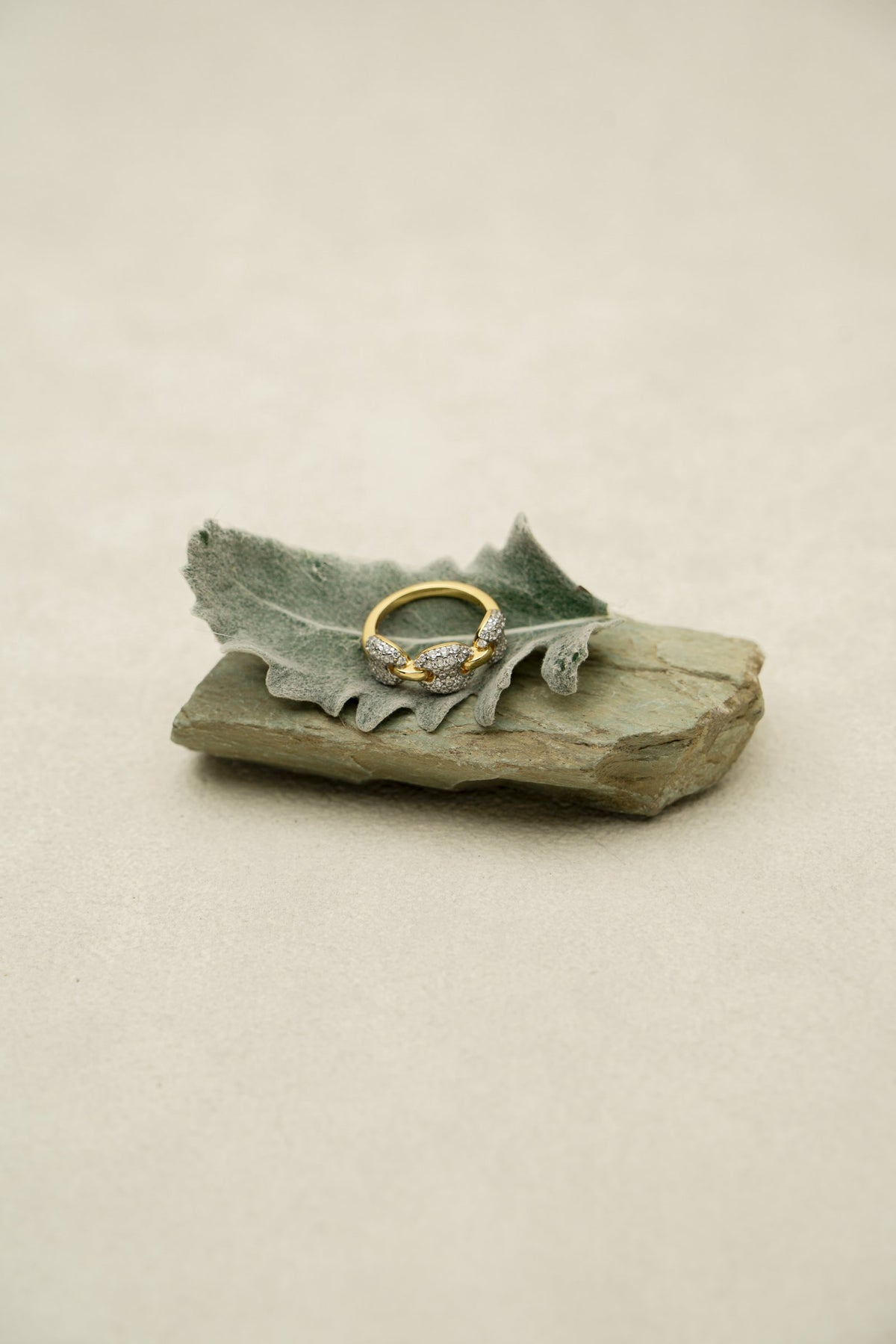 Deeply Linked Ring