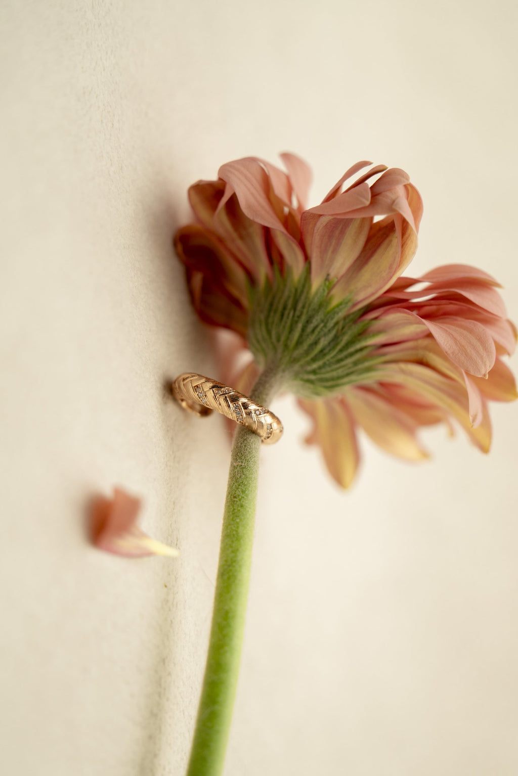 Sweet Success Ring