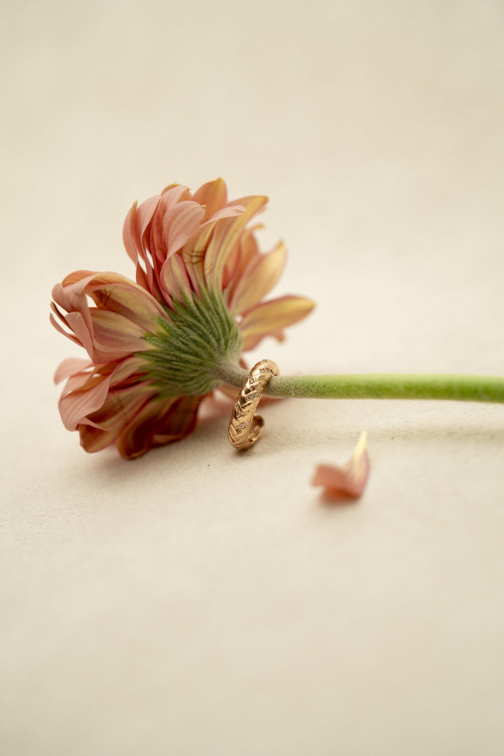 Sweet Success Ring