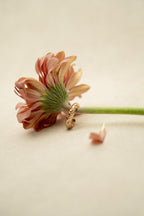 Sweet Success Ring
