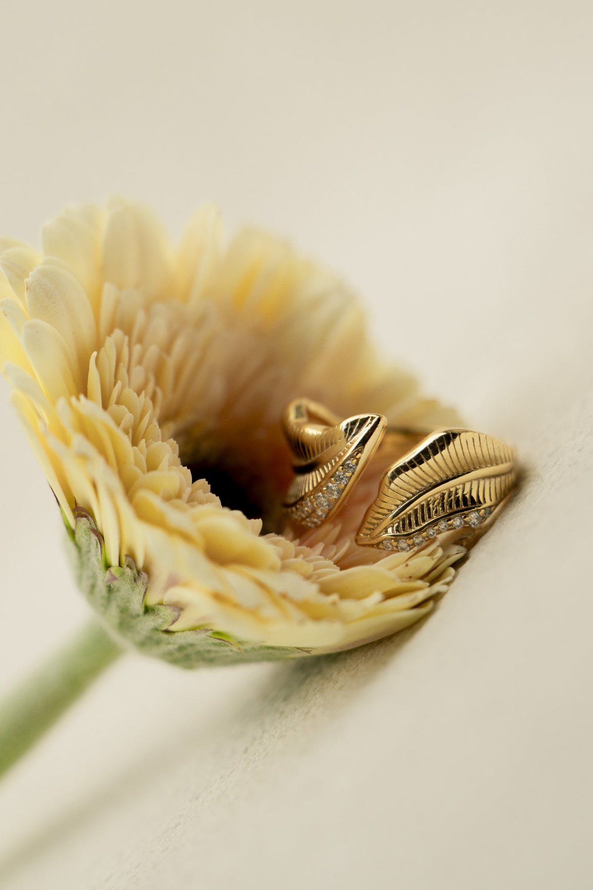 Shine Your Way Ring