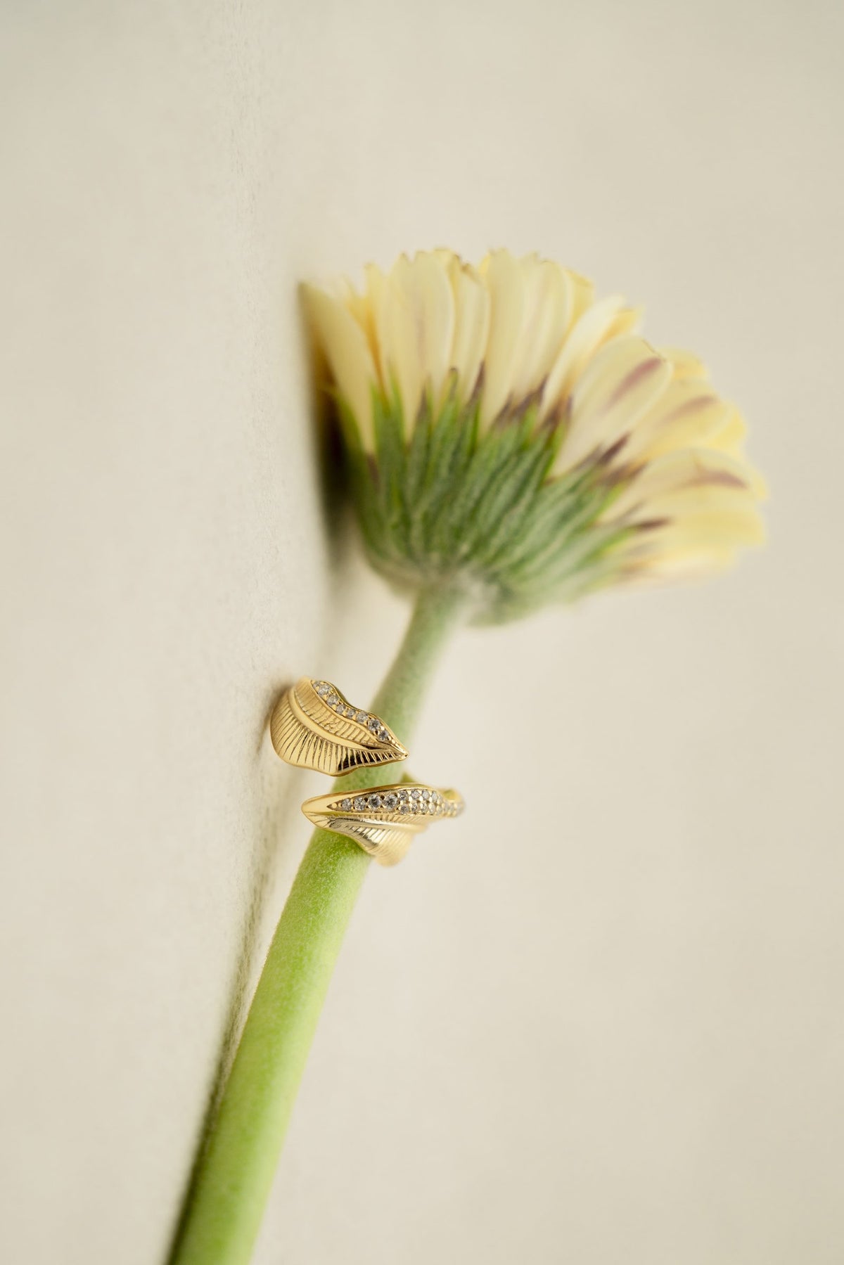 Shine Your Way Ring